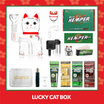 HEMPER Lucky Money Cat Box