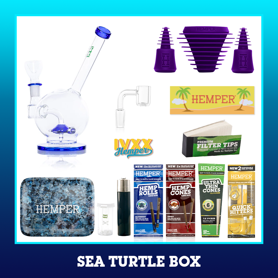 HEMPER Sea Turtle Box - Blue