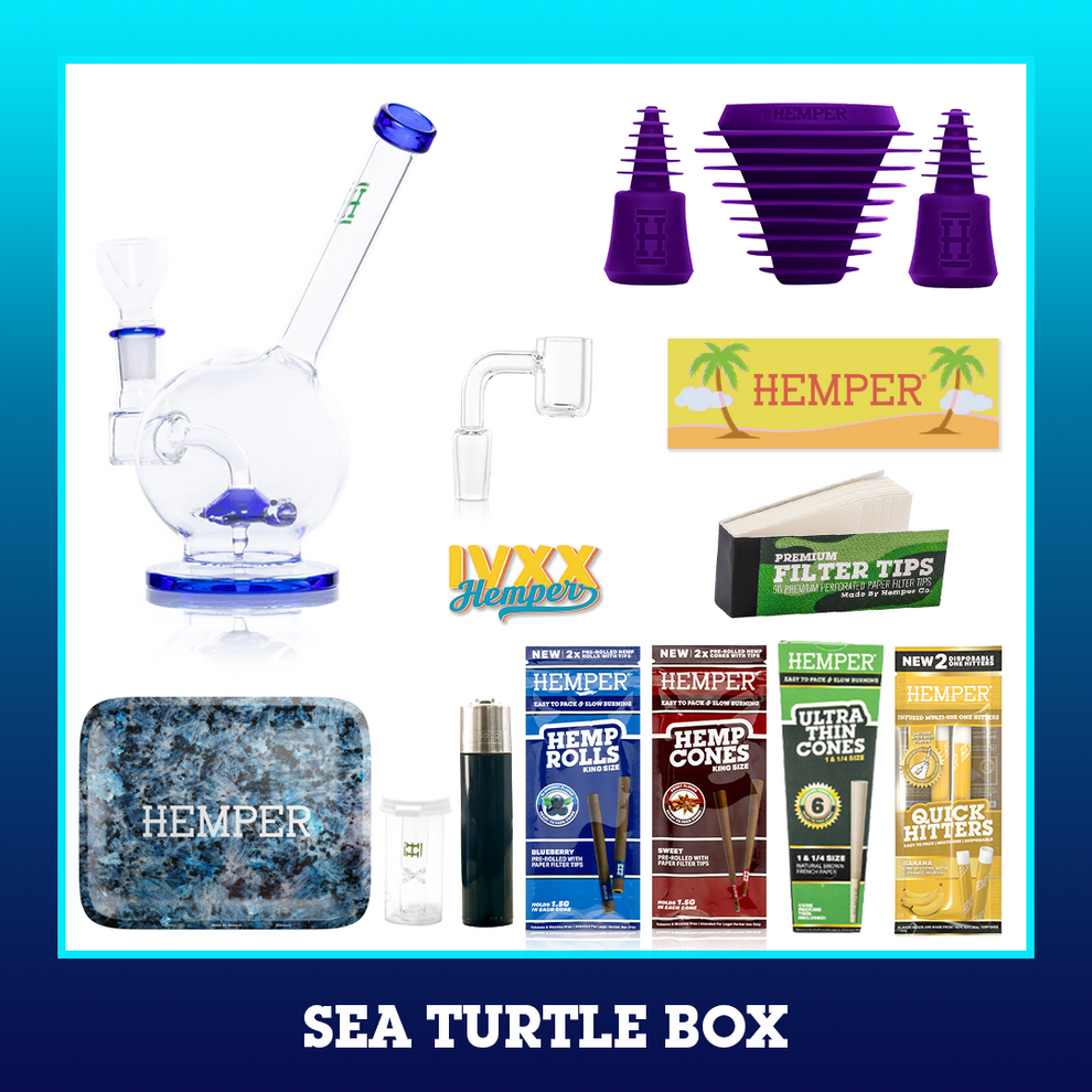HEMPER Sea Turtle Box - Blue - 2