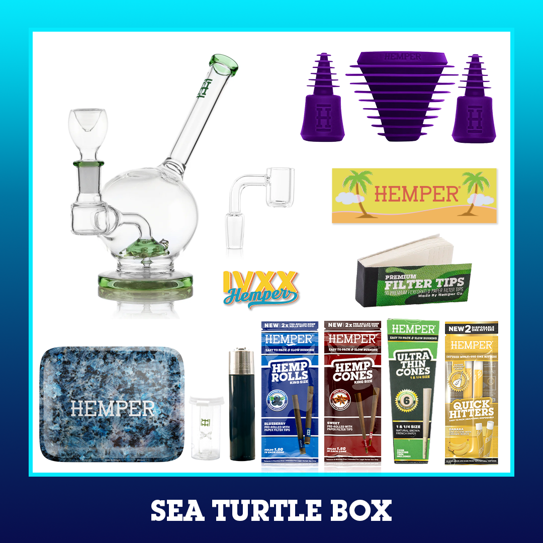 HEMPER Sea Turtle Box - Green - 