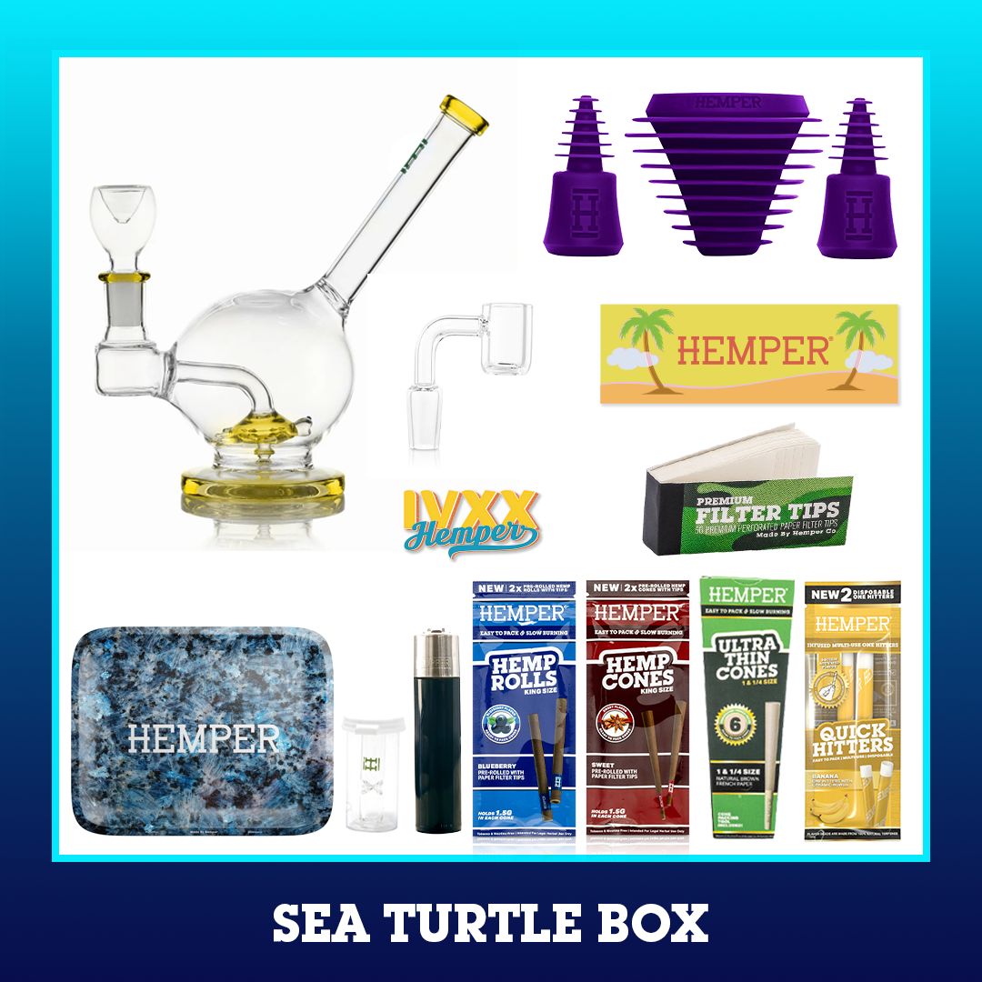 HEMPER Sea Turtle Box - Yellow - 