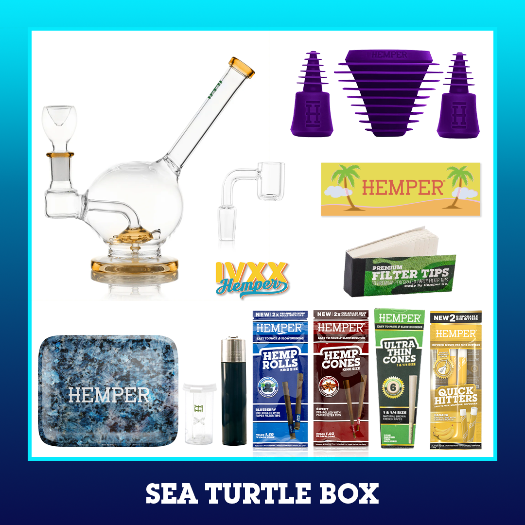 HEMPER Sea Turtle Box - Orange - 