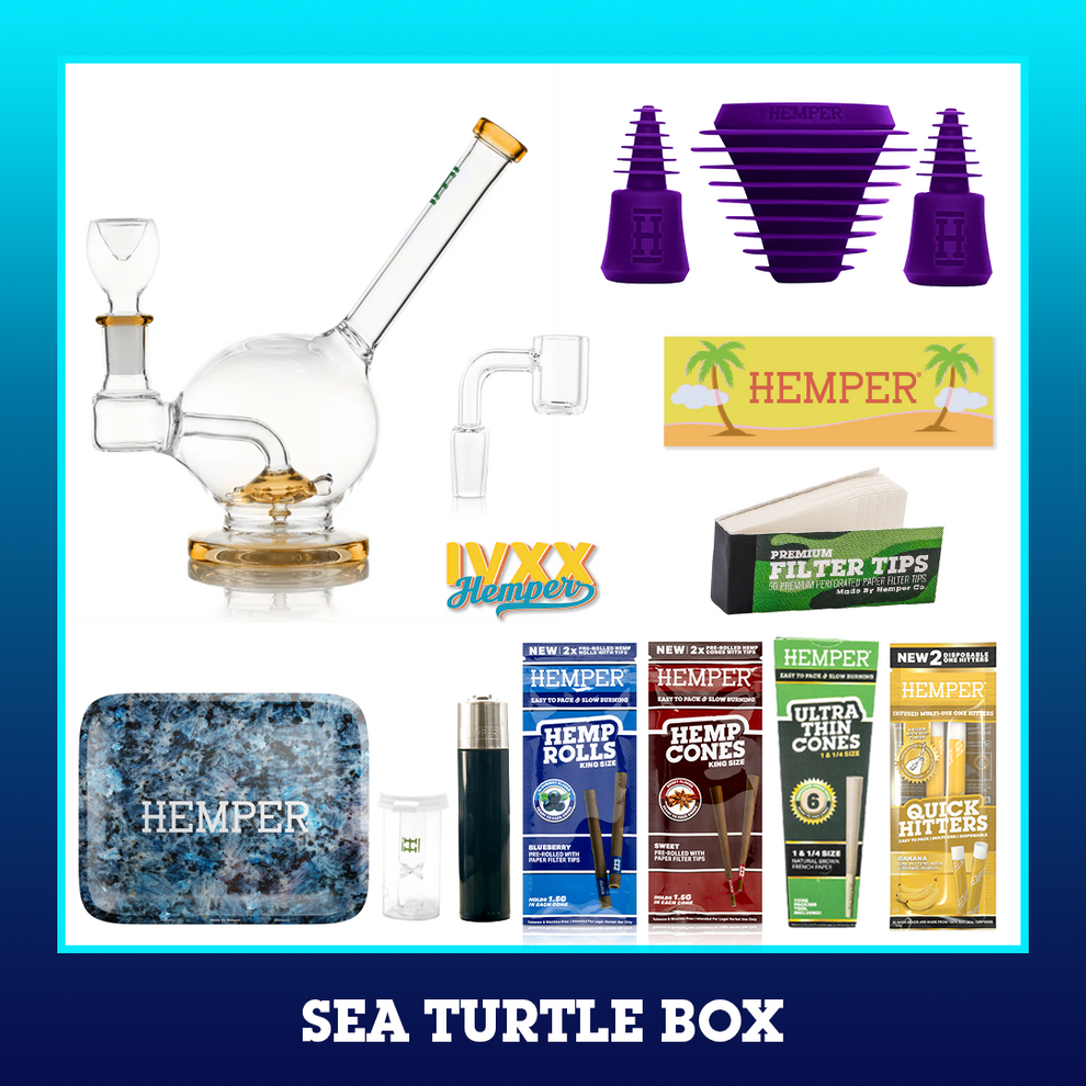 HEMPER Sea Turtle Box - Orange - 4