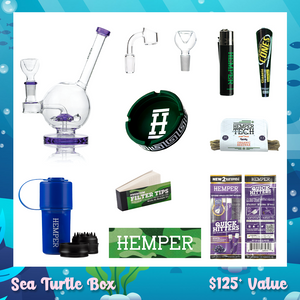 HEMPER - Sea Turtle Bong Box