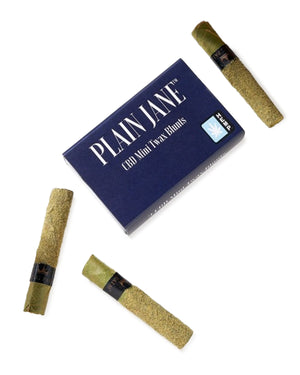 Plain Jane - CBD Mini Twax Blunts