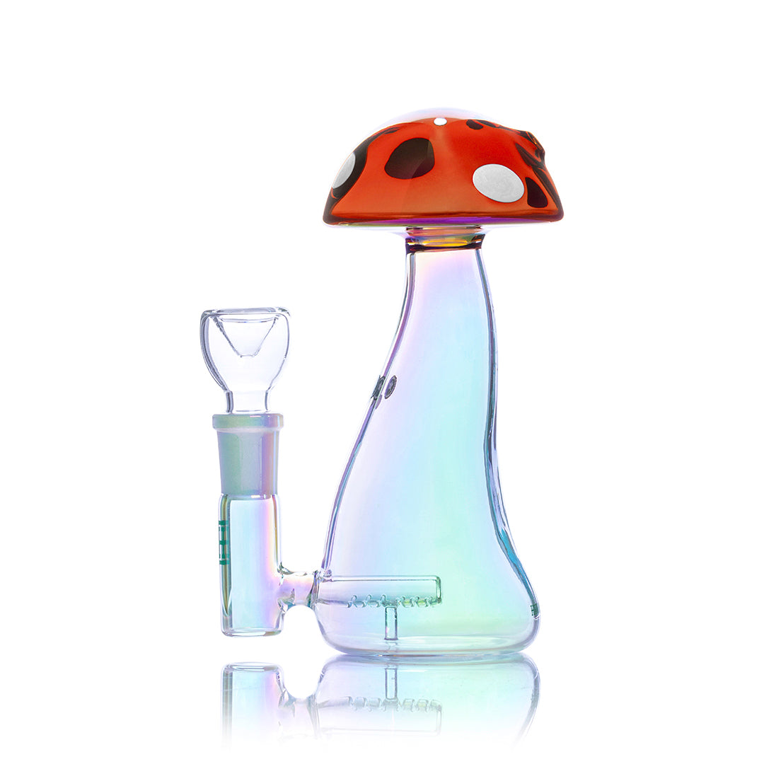 Small Bong Red Agaric