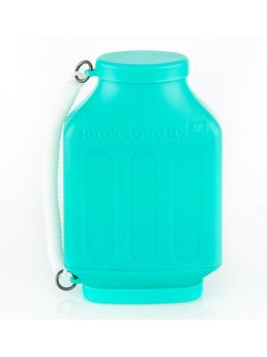 SmokeBuddy - Junior Personal Air Filter - 11