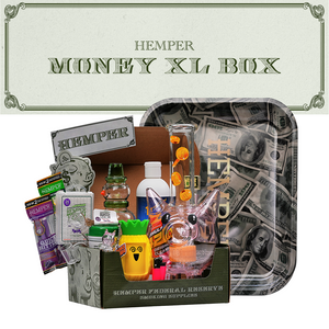 HEMPER - Piggy Bank XL Bong Box